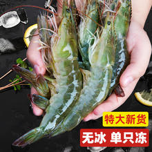 今日必买：青岛大虾鲜活特大号基围虾 3斤 17-19cm57.46元