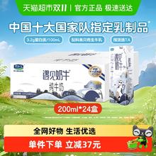 君乐宝 遇见奶牛 纯牛奶200ml*24盒