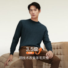 红豆 男100%纯羊毛298g重磅针织毛衣99.9元、包邮