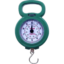 手提秤弹簧秤钓鱼秤 可称10kg