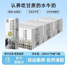认养 纯牛奶 200ml*10盒*3箱