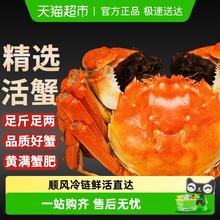 88VIP会员：仲秋 [活蟹]仲秋特大大闸蟹鲜活现货全母螃蟹旗舰礼盒湖鲜河蟹