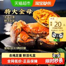 今日必买、淘金币可用、88VIP：今锦上 大闸蟹鲜活 礼盒去绳足重 全母2.8-3.1两 8只