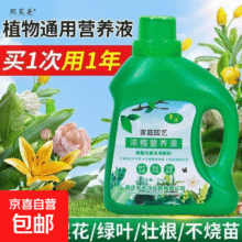 营养液植物通用型花肥发财树富贵竹绿萝水培盆栽家用花卉养花肥料 生物有机肥【15克】1袋