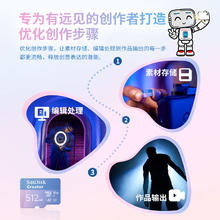 限移动端、京东百亿补贴：SanDisk 闪迪 256GB极速粉卡174.5元