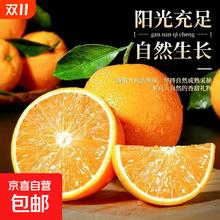 2025脐橙 纽荷尔脐橙 当季产地直发 65-70mm 带箱5斤净重4.5斤