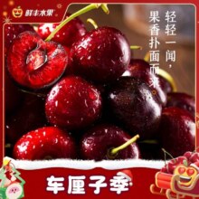 美团 鲜丰水果|车厘子自由智利车厘子XL一箱约2.5斤