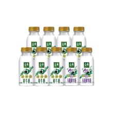 伊利 金典鲜牛奶235ml*7+金典A2有机鲜牛奶235ml*2 赠 1