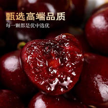 智利进口车厘子大樱桃 XL级 单果24-26mm 4斤净重 礼盒带箱5斤 试用同款