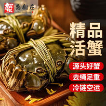 蟹叁钳庄 去绳足重！现货大闸蟹 公3.8-4.1两母2.8-3.1两 4对8只礼盒装（支持多地址下单）