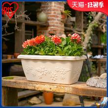 爱丽思 日本 方形花盆栽花盆阳台种菜