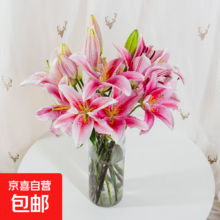 再降价：云南直发 香水百合鲜花 水养 10朵 随机色 京东快递