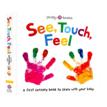 触觉视觉嗅觉感官认知 英文原版绘本 See, Touch, Feel: A First Sensory Book 低幼儿童早教启蒙绘本 亲子互动游戏书 内附小镜子