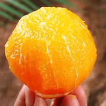 天乐优选 湖南纽荷尔脐橙 新鲜现摘 9斤单果60mm起