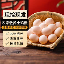 基诞 农家散养鸡蛋 单枚约50g±5g 30枚装