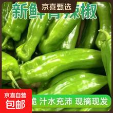 有券的上：新鲜青尖椒超500g市生鲜蔬菜下饭菜虎皮尖椒鸡蛋伴侣含箱