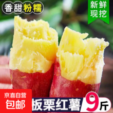 正宗陕西板栗红薯新鲜沙地蜜薯真便宜早餐超市直播间京东包邮 板栗红薯 5斤（彩箱发货） 含箱 中小果（单两1两-4两）