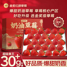 山姆大叔 大凉山99红颜草莓 7A级精品果 3斤装 单果13-18g 净2.4斤