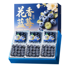 山姆大叔 金奖蓝莓 云南L25花香蓝莓 特级果 单果16-18mm 4盒装 100g/盒