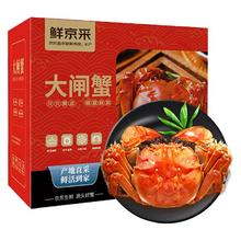 鲜京采 鲜活大闸蟹 全母蟹3.3两 4对8只 去绳足重