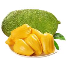 京鲜生 海南老树菠萝蜜 13-17斤装 一整个