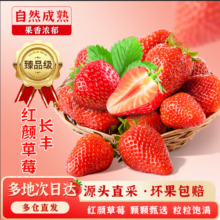 甜盟安徽长丰红颜草莓 【JD/顺丰多地次日达】 新鲜应季水果多仓发货3 2斤装【SS级甄选】中大果12-20g 净重1.2斤