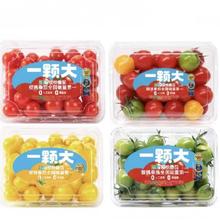 再降价：【一颗大】多彩宝石樱桃番茄 精品粒装小西红柿香甜爆汁 916g