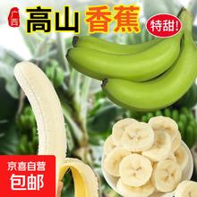 单根蕉 广西新鲜本地土香蕉 青蕉 单根发货 2斤带箱