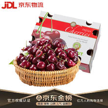 玖原农珍 智利车厘子JJ级铂金果 5斤净重 28-30mm