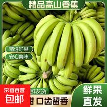 东东农场 精品高山香蕉 自然熟放熟吃 9斤装