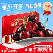 梦宛怡 车厘子樱桃智利车厘子进口水果5kg年货节礼盒送礼 4斤(净重)大果J级车厘子丨26-28mm