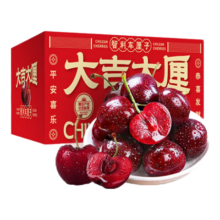 鲁禧海岸 智利车厘子 4J级 大樱桃 4斤净重 家庭装 宴请宾客 26-28mm