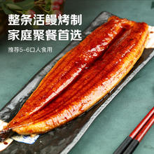 鳗鱼皇后 烤鳗鱼蒲烧 整条450g