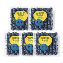 MPPMCK 特大果 云南蓝莓100g 4盒 单果15-18mm
