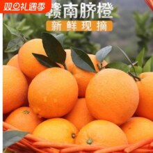 江西赣南脐橙甜新鲜当季直发榨汁专用手剥爆汁橙子净重4.5斤