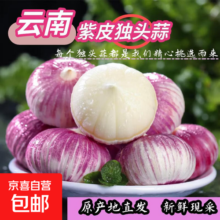 云南紫皮独头蒜干蒜果经3.0mm+ 大果直径3.0左右（7头）