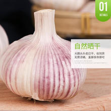 京喜 大蒜头 国产 紫蒜 5头装 150g