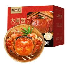 鲜京采 大闸蟹 全母蟹3.5两 4对8只 去绳足重 死蟹包赔 螃蟹礼盒