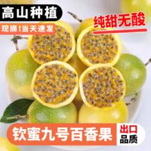 特大精品果 广西钦蜜9号 黄金百香果 2.5斤 单果70-90克