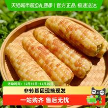 淘金币可用、88VIP：云好糯 西双版纳新鲜花糯玉米1.5kg（ 8--9根）