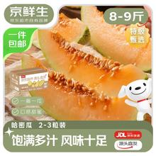 京鲜生 海南西州蜜哈密瓜 净重8-9斤 2-3粒精品