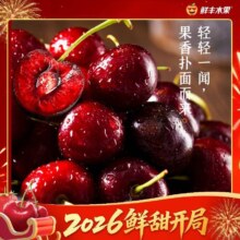 美团到店 鲜丰水果|元旦特惠A级智利车厘子J一箱约2.5斤