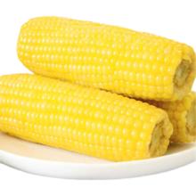 京鲜生东北黄玉米棒200g×8棒25年新玉米