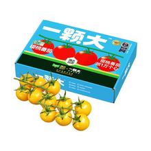 88VIP会员：一颗大 臻选番茄精品礼盒装酸甜爆汁基地直发650g