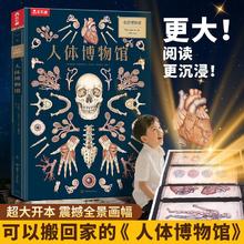 今日必买：《奇迹博物馆》
