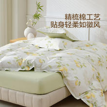 国家补贴：水星家纺 澄净·柠语微澜全棉印花被套 200cm×230cm