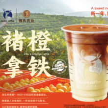 再降价：美团到店 瑞幸咖啡 褚橙拿铁 清爽甘甜 510ml