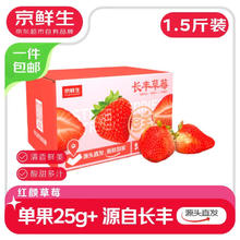 京鲜生 安徽长丰红颜草莓 1.5斤装 单果25g 生鲜水果 源头直发包邮