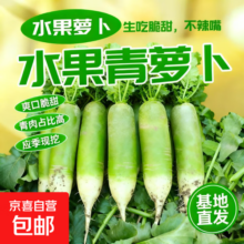 陕西水果萝卜青萝卜生吃脆甜蘸酱多汁美味丸子火锅炖菜基地直发 2斤装