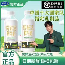 君乐宝 悦鲜活鲜牛奶 A2型950ml*2瓶